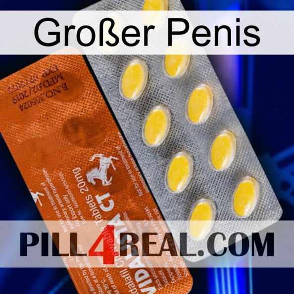 Großer Penis 42.jpg